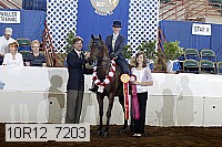 10r12_7203 proof