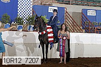 10r12_7207 proof