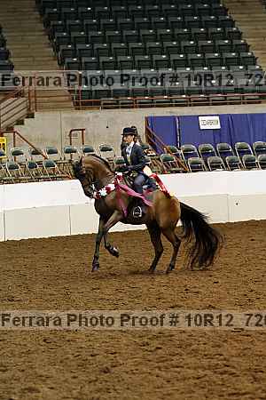 Proof 10r12_7209