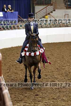 Proof 10r12_7212