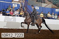 10r12_7223 proof