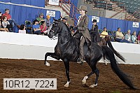 10r12_7224 proof