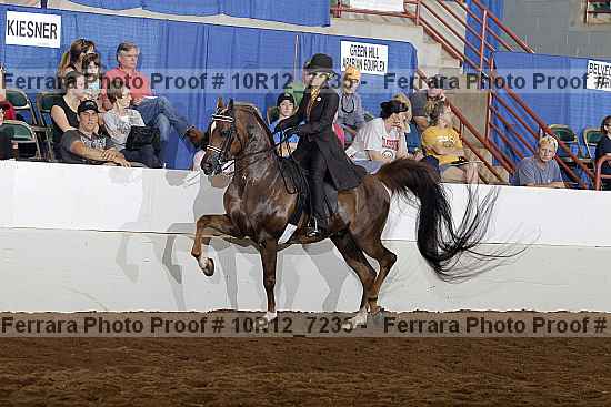 Proof 10r12_7235