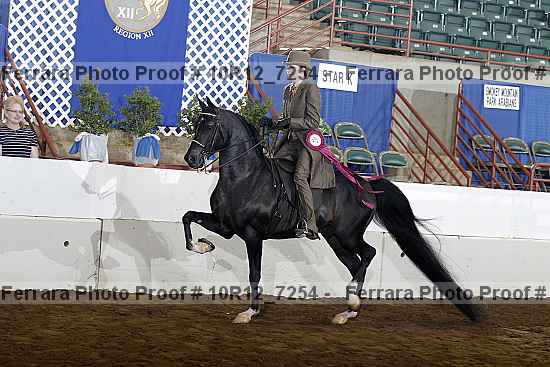 Proof 10r12_7254