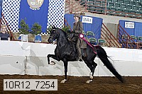 10r12_7254 proof