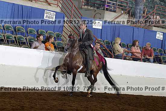 Proof 10r12_7256