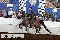 10r12_7257 proof