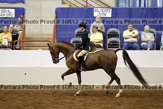 Proof 10r12_7297
