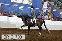 10r12_7301 proof