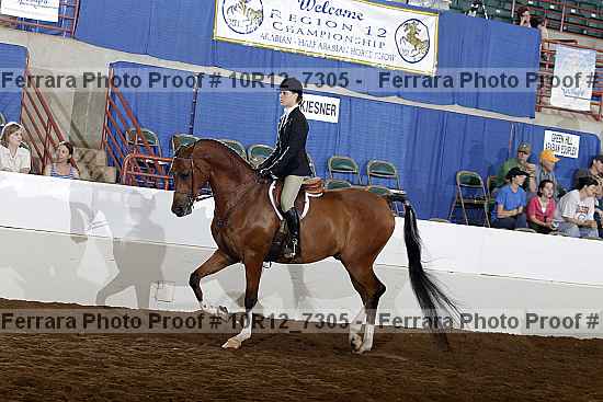 Proof 10r12_7305