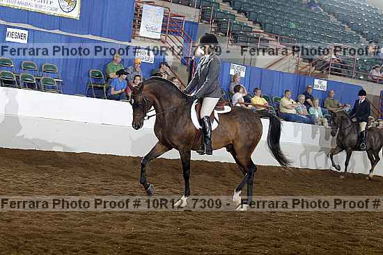 Proof 10r12_7309