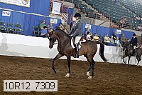 10r12_7309 proof