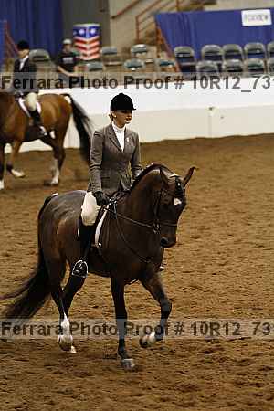Proof 10r12_7310