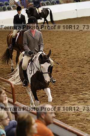 Proof 10r12_7313