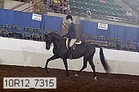 10r12_7315 proof