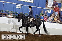 10r12_7318 proof