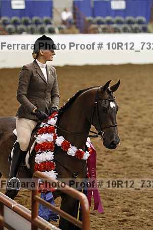 Proof 10r12_7325