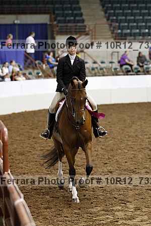 Proof 10r12_7328
