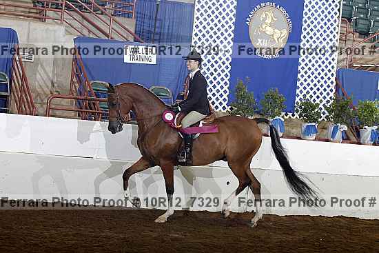 Proof 10r12_7329