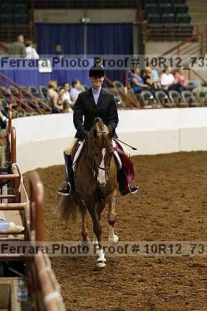 Proof 10r12_7333
