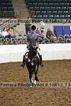 Proof 10r12_7335