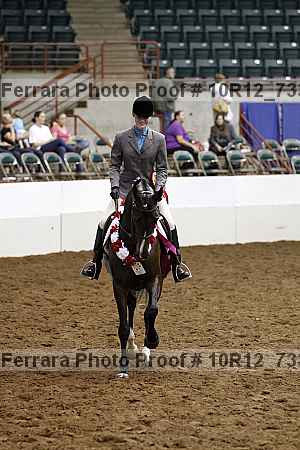 Proof 10r12_7336