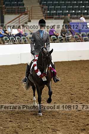 Proof 10r12_7337