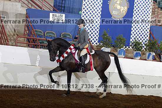 Proof 10r12_7338
