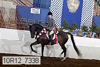 10r12_7338 proof