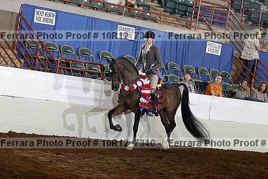 Proof 10r12_7340