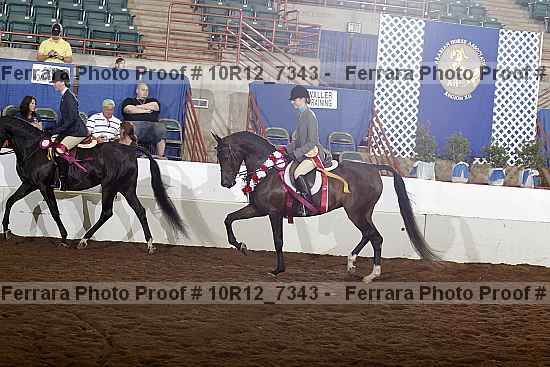 Proof 10r12_7343