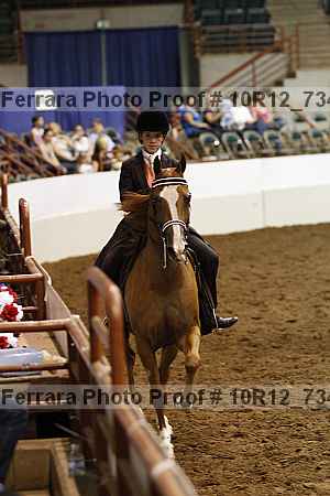 Proof 10r12_7349