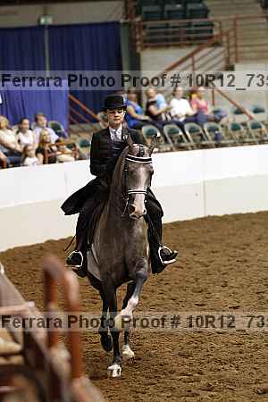 Proof 10r12_7350