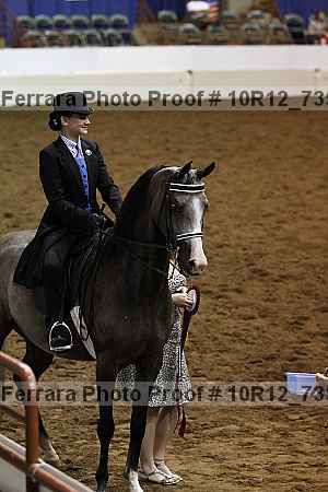 Proof 10r12_7351