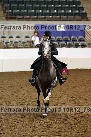 Proof 10r12_7363