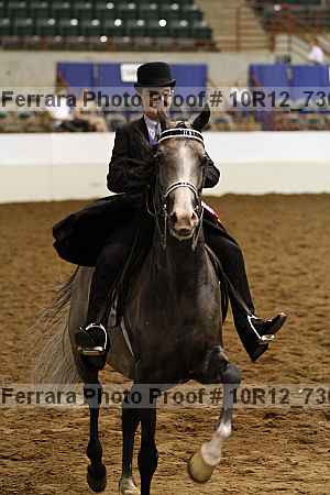 Proof 10r12_7365