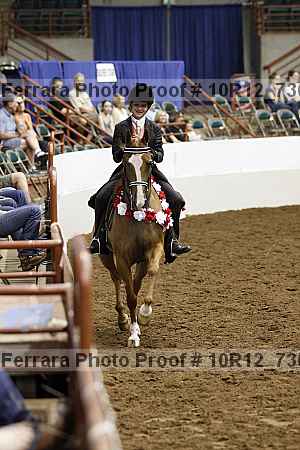 Proof 10r12_7366