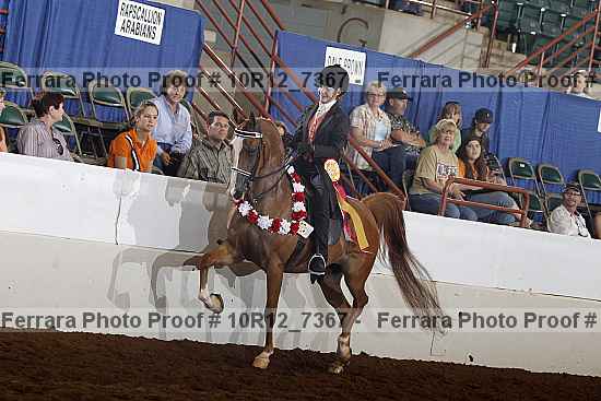 Proof 10r12_7367