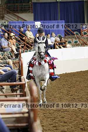 Proof 10r12_7370