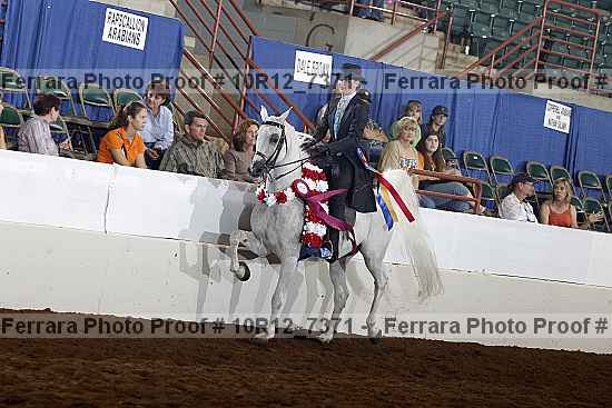 Proof 10r12_7371