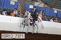 10r12_7371 proof