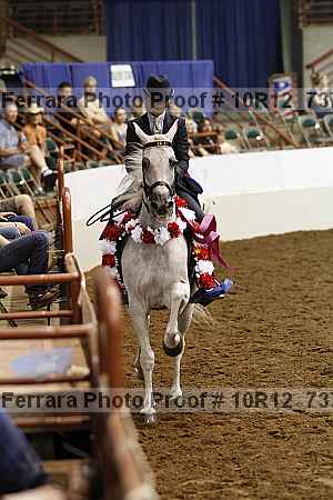 Proof 10r12_7372
