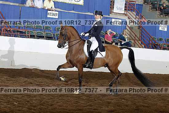 Proof 10r12_7377