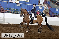 10r12_7377 proof