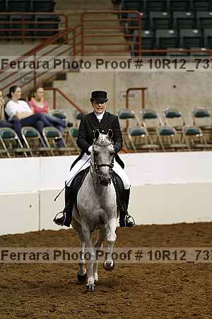Proof 10r12_7378