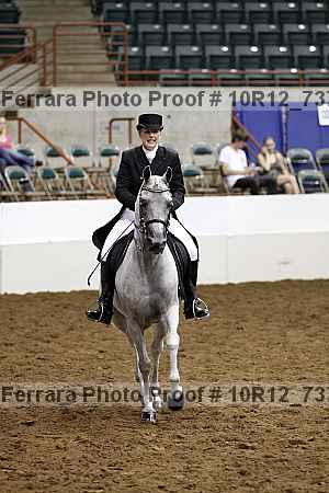 Proof 10r12_7379