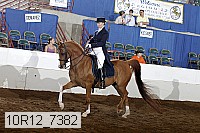 10r12_7382 proof