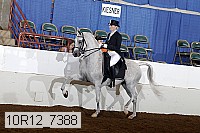 10r12_7388 proof
