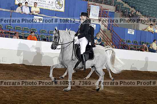 Proof 10r12_7389