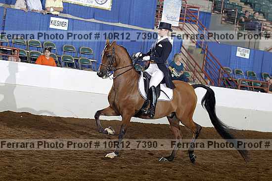 Proof 10r12_7390